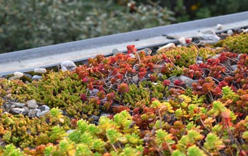 the cost of Sandford Orcas green roof installation
