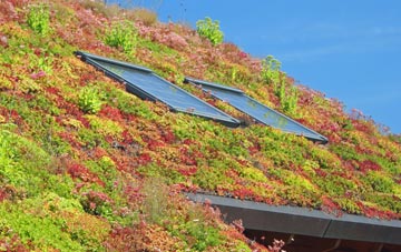 Sandford Orcas living roof systems