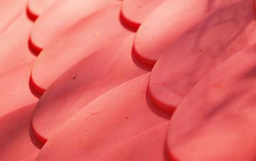 Sandford Orcas plastic roof costs